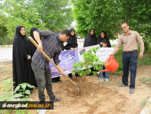 گرامیداشت یاد شهدای مدرسه «شجره طیبه» میناب با آیین درختکاری در آموزشکده ملی مهارت دختران میبد 5