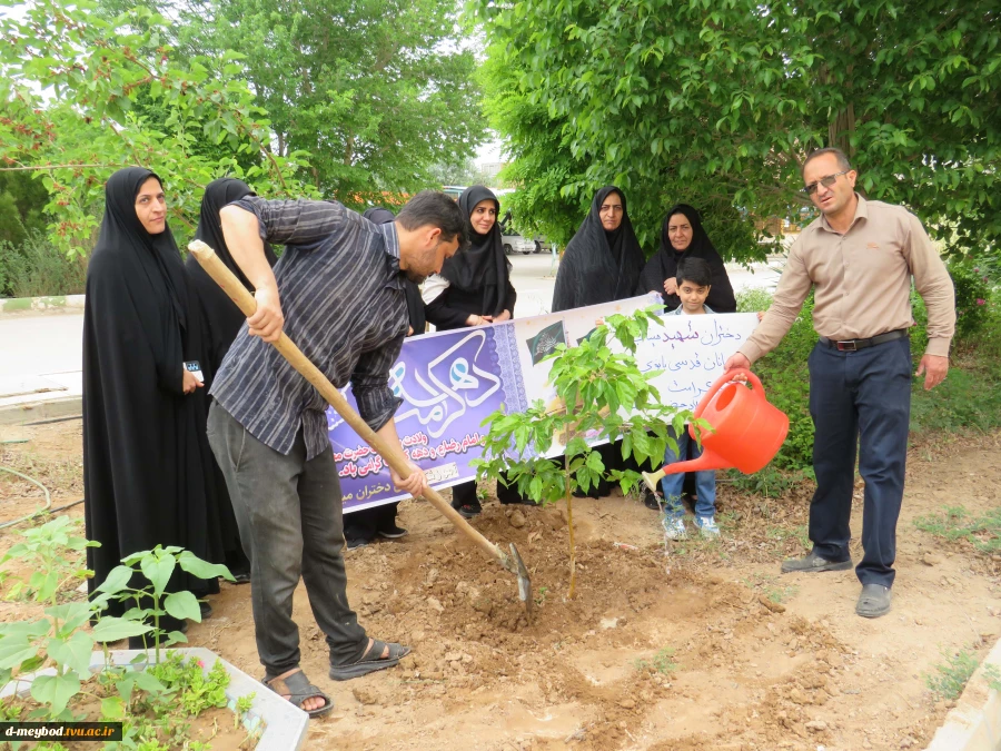 گرامیداشت یاد شهدای مدرسه «شجره طیبه» میناب با آیین درختکاری در آموزشکده ملی مهارت دختران میبد 5