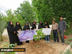 گرامیداشت یاد شهدای مدرسه «شجره طیبه» میناب با آیین درختکاری در آموزشکده ملی مهارت دختران میبد 6
