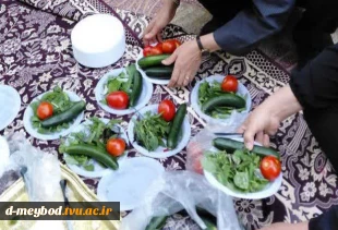 یاده‌روی و دورهمی صمیمانه همکاران آموزشکده ملی مهارت دختران میبد  به مناسبت  هفته کرامت و میلاد با سعادت امام رضا (ع)
 2