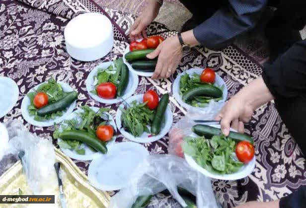 یاده‌روی و دورهمی صمیمانه همکاران آموزشکده ملی مهارت دختران میبد  به مناسبت  هفته کرامت و میلاد با سعادت امام رضا (ع)
 2