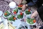 پیاده‌روی و دورهمی صمیمانه همکاران آموزشکده ملی مهارت دختران میبد  به مناسبت  هفته کرامت و میلاد با سعادت امام رضا (ع)