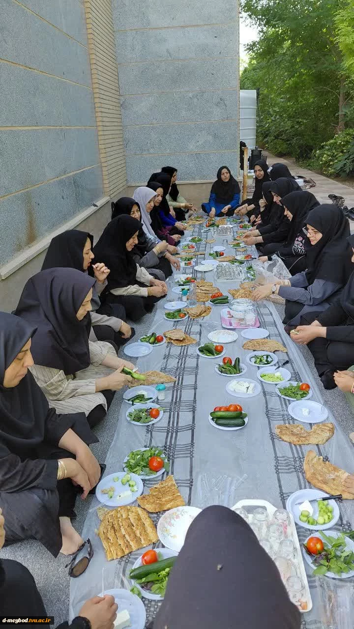 یاده‌روی و دورهمی صمیمانه همکاران آموزشکده ملی مهارت دختران میبد  به مناسبت  هفته کرامت و میلاد با سعادت امام رضا (ع)
 2